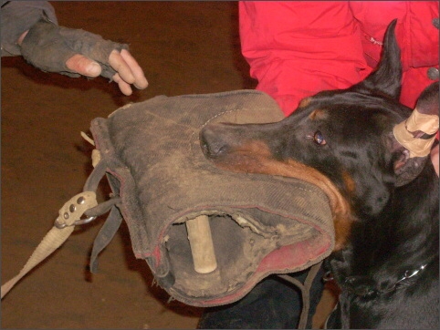 Training in Estonia 11/2007